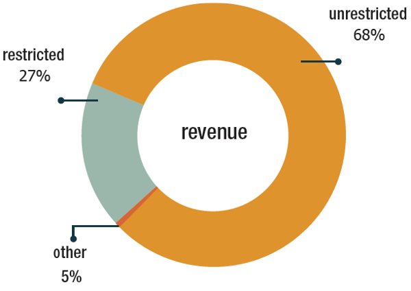 20-21Revenue