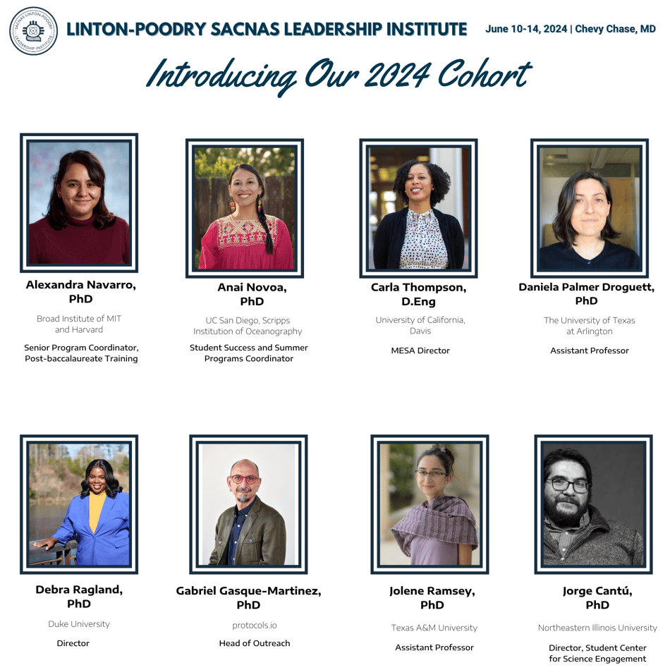 LPSLI webpage 1