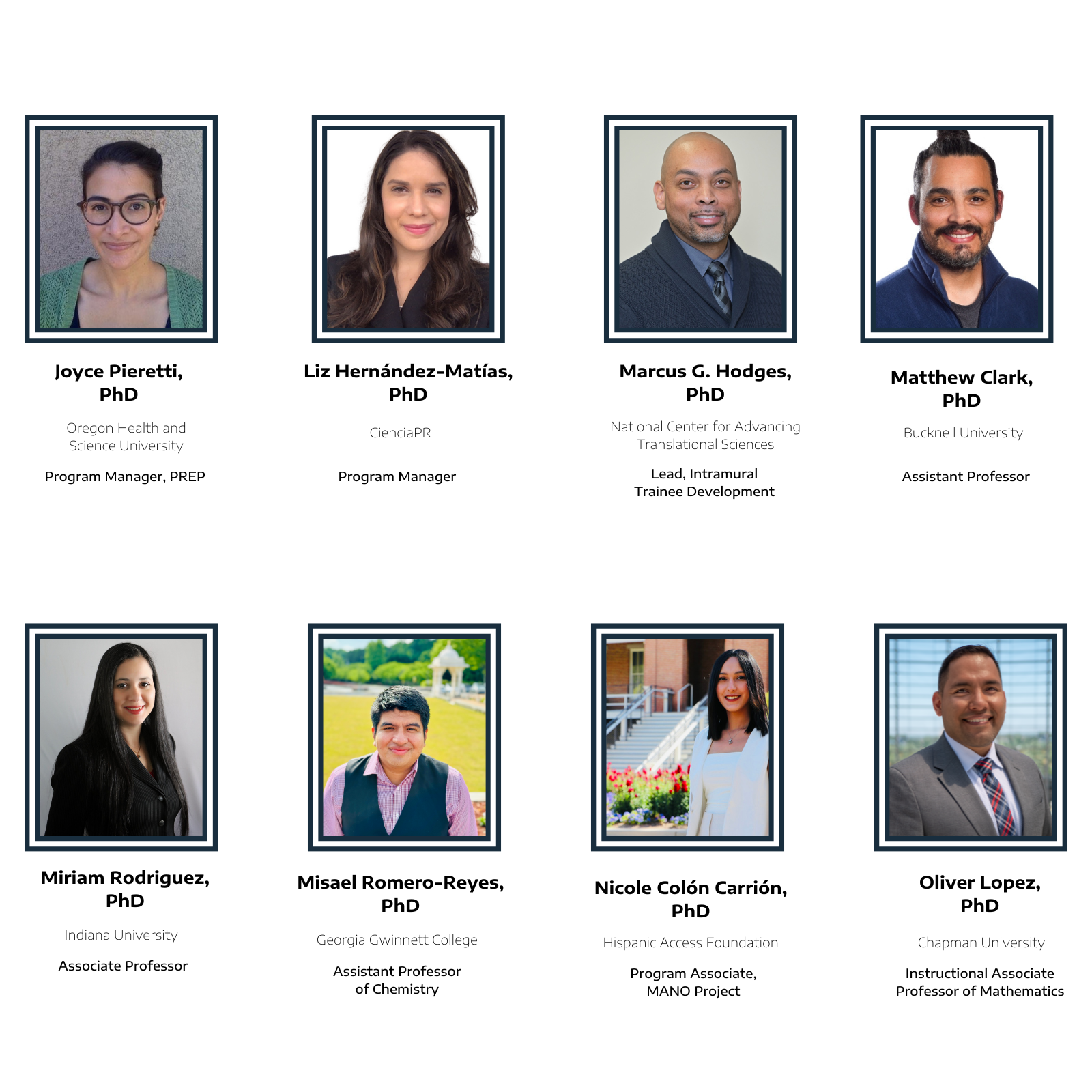 LPSLI webpage 2