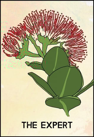 expert_card_3-701x1024-1